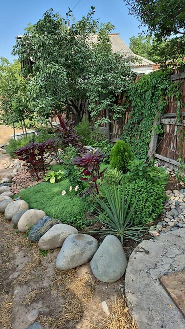 Долгосрочная аренда домов: 30 м², 1 комната, Парковка — 8