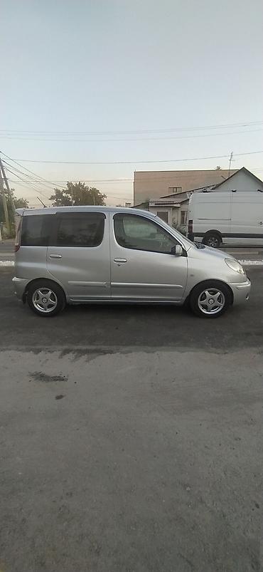 гакаён машина: Toyota Funcargo: 2003 г., 1.3 л, Автомат, Бензин, Универсал — 7