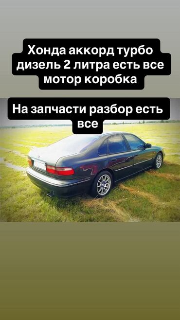 суппорт тормозной купить бишкек: Honda Accord: 1997 г., 2 л, Механика, Дизель, Седан