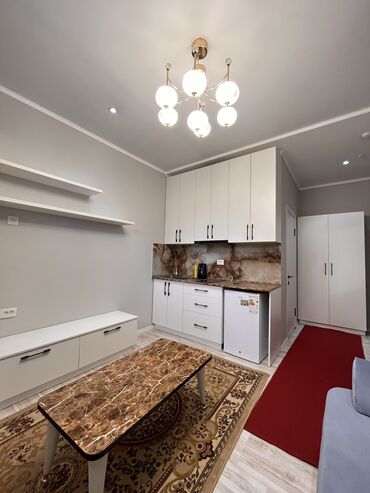 Продажа квартир: 1 комната, 20 м², Малосемейка, Цокольный этаж этаж, Евроремонт
