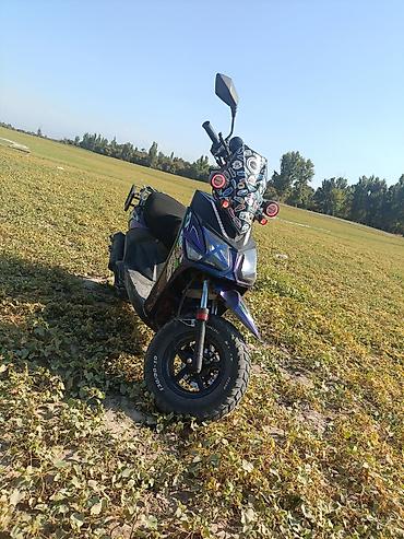 Скутеры: Тип скутера 160 куб. см, Бензин, Б/у — 9