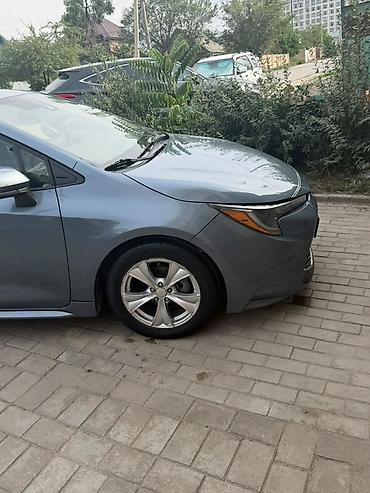 levin corolla: Toyota Corolla: 2019 г., 1.8 л, Гибрид — 2