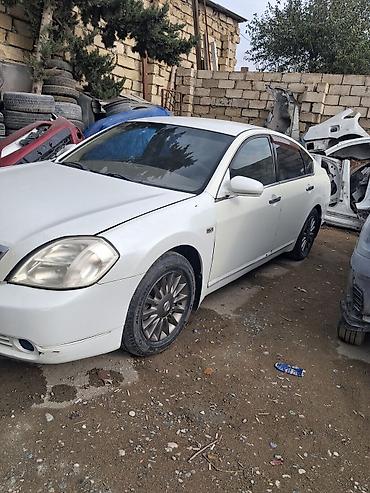 nissan 1998: Nissan Teana (J31) gəlib söküntü üçün ölüxanamıza. Kimə hansı detalı — 3