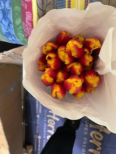 Букеты из живых цветов: В оптомв розницу — 7