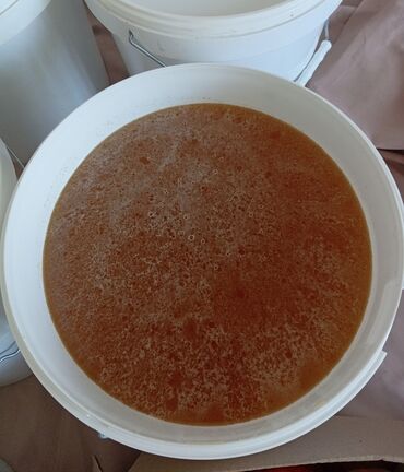 навес для кафе: 100% Таза бал 🍯 сатылат 1кг 450 сом местный Талас облусу өзгөрүш айылы