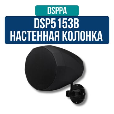 Вокальные микрофоны: Серия DSP 5153 представляет собой многофункциональные