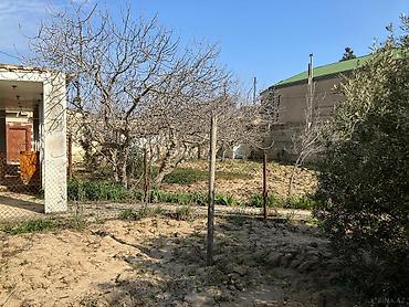 hövsanda: 6 sot, Tikinti, Mülkiyyətçi, Kupça (Çıxarış) — 2