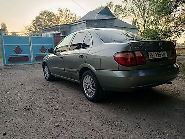стекол: Nissan Almera: 2005 г., 1.5 л, Бензин, Седан — 4