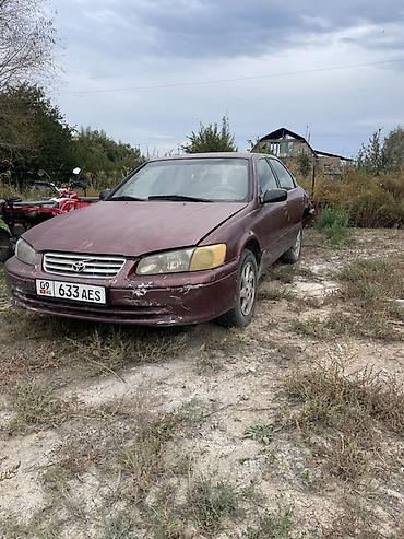Продажа авто: Toyota Camry: 2000 г., 2.2 л, Автомат, Бензин, Седан — 2