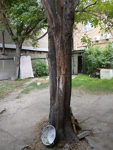 Продажа полдома: Продается дом барачного типа.Расположение сверх топовое .Находится по — 7