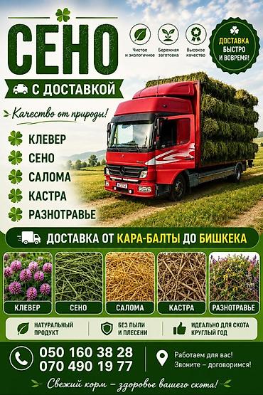 тюки вливер: Тюк с доставкой с укладкой цена договорная Сено в тюках — 5