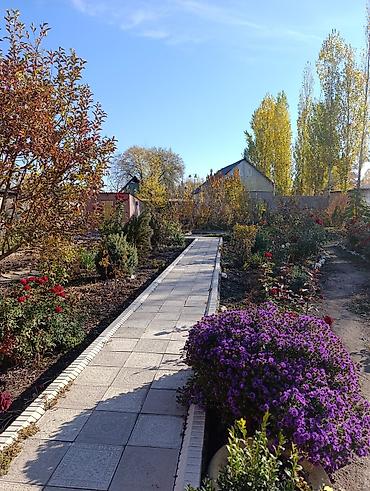 Продажа коттеджей и домов: 📌В центре Беловодское продается дом кирпичный из 6-ти комнат на — 16