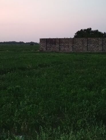 Torpaq sahələrinin satışı: 8 sot, Tikinti, Mülkiyyətçi, Kupça (Çıxarış) — 4