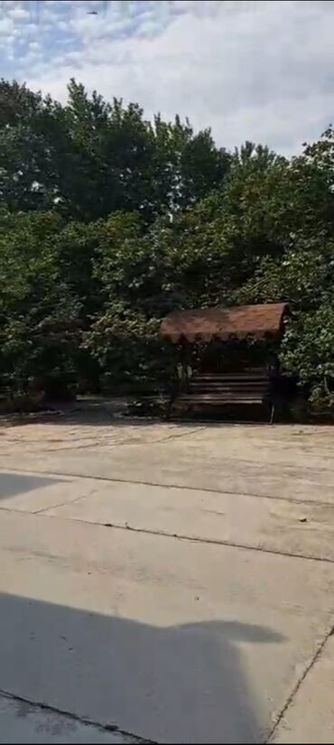 Torpaq sahələrinin satışı: 50 sot, Kənd təsərrüfatı — 6