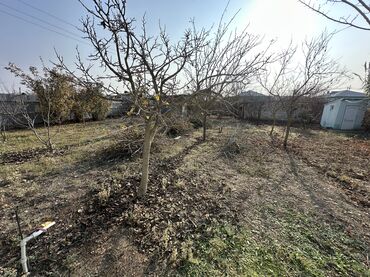 Uzunmüddətli kirayə evlər: 70 kv. m, 2 otaqlı — 9