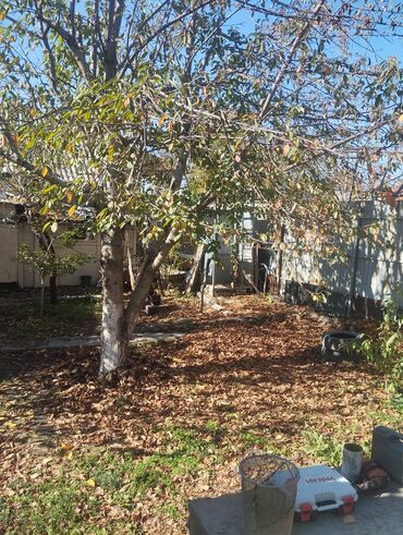 Продажа домов: Дом, 657 м², 3 комнаты, Собственник, Старый ремонт at lalafo.kg — 12 Продажа домов: Дом, 657 м², 3 комнаты, Собственник, Старый ремонт — 12