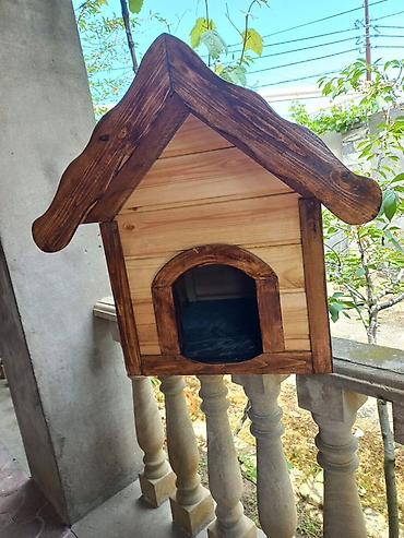 i̇tler: Taxta it evi - Material: keyfiyyətli taxta, təbii tekstura ilə - — 1