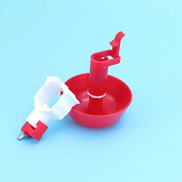 İnkubatorlar: İnkubator və ferma avadanlaqlari̇ inqubator yem qabi və su qabi -da lalafo.az — 11 İnkubatorlar: İnkubator və ferma avadanlaqlari̇ inqubator yem qabi və su qabi — 11