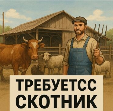 кок жаре: Договорная Ищу скотника смотреть за быками если семейный ещё лучше lalafo.kg да кок жаре: Договорная Ищу скотника смотреть за быками если семейный ещё лучше