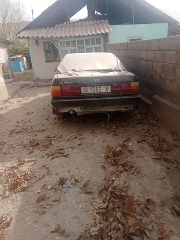 7 местные: Audi 100: 1989 г., Седан