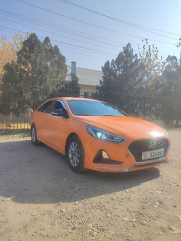 00: Hyundai Sonata: 2019 г., 2 л, Автомат, Газ, Седан — 1