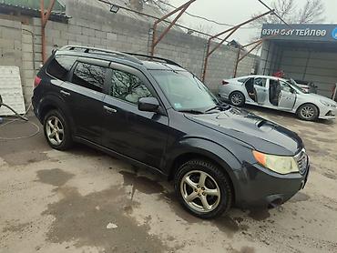 форестер 2009: Subaru Forester: 2009 г., 2.5 л, Автомат, Бензин, Кроссовер — 5