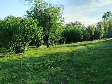 daşınmaz əmlakın satışı: 50 sot, Tikinti, Kupça (Çıxarış) — 3
