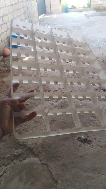 Qaz latoku aliram sekildekinden. 32 yumurtaliq