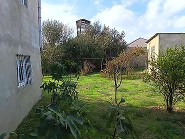 villalar: 1 otaqlı, 8 kv. m, Təmirsiz — 1