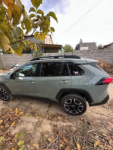 rav 4 2022: Toyota RAV4: 2019 г., Кроссовер — 4