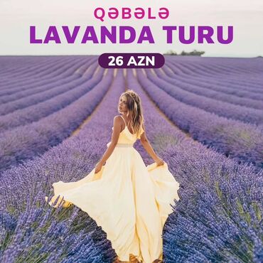 🪻Lavanda Turu – Qəbələnin Ətirli Bahar Möcüzəsi!❗️ Qəbələnin