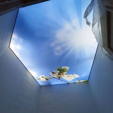 Потолочные работы: Монтаж потолков, Монтаж потолочных плинтусов Больше 6 лет опыта — 5