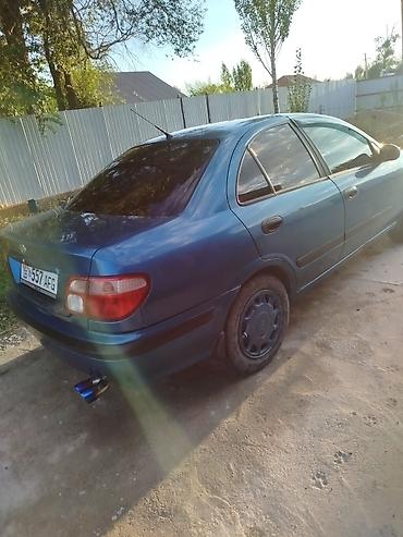 crv 2: Nissan Primera: 2000 г., Механика, Бензин, Седан — 4