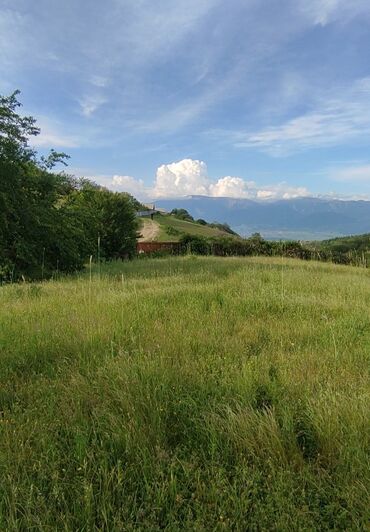 Torpaq sahələrinin satışı: 13 sot, Tikinti, Mülkiyyətçi, Kupça (Çıxarış) — 2