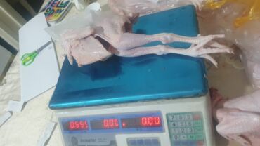 Коровы, быки: Məhsul: Təmizlənmiş çolpalar başsız, içalatı çıxarılmış), ayaqları ilə