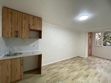 Продажа квартир: 1 комната, 27 м², парк Фучика Малосемейка, 3 этаж, Евроремонт — 4