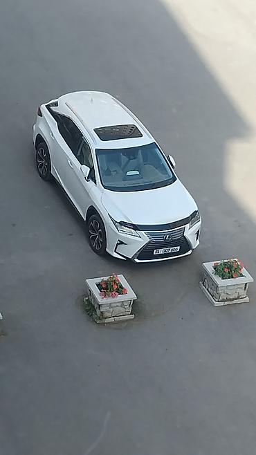 lexus cs: Lexus RX: 2019 г., 3.5 л, Автомат, Бензин, Кроссовер — 3