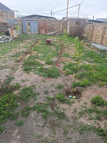 Torpaq sahələrinin satışı: 4 sot, Tikinti, Mülkiyyətçi — 2