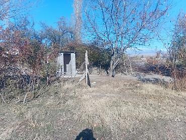 Продажа коттеджей и домов: Продаётся домовладение с участком. - Два отдельно стоящих жилых дома — 6