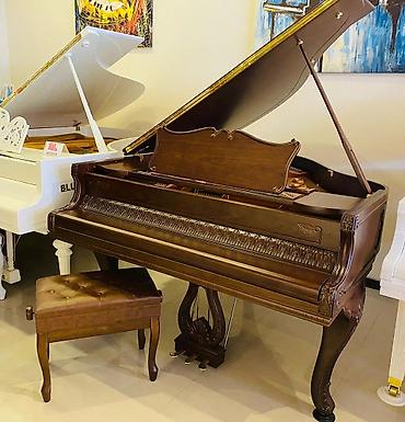Музыкальные инструменты: ROYAL AKUSTIK. Royal Musiqi Alətleri salonu sizlərə geniş çeşiddə — 1
