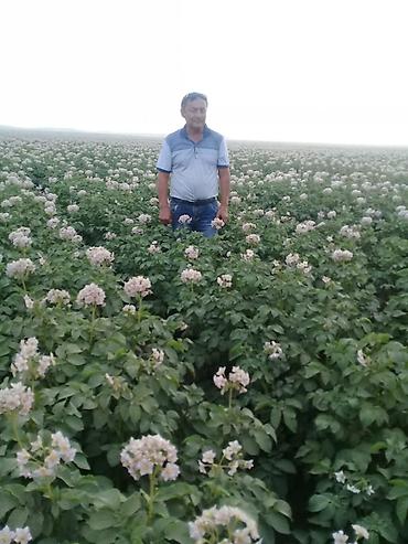 Удобрения и садовая химия: Удобрение Самовывоз — 13