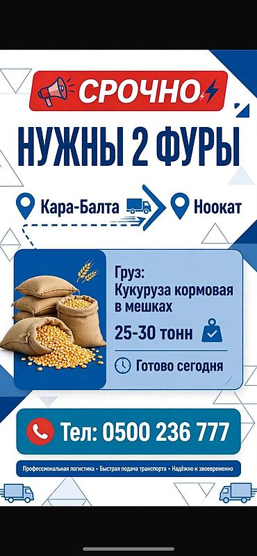 Услуга транспортировки: требуются 2 фуры для рейса Кара-Балта →