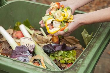 отдам даром швейные отходы: Пищевой отдох. Кому нужно отходы (помой) детского сада для собак
