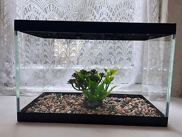 100 l akvarium: Dördbucaq akvarium, Boş, 9 l, Ünvandan götürmə — 2