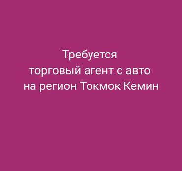 швеяга заказчик керек: Требуется торговый агент с авто на регион Токмок-Кемин с опытом