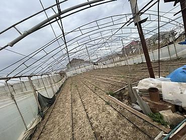 dam ortukleri: İstixana kompleksi – dam örtüyü karkaslı, tam işlək əkin sahələri və — 6