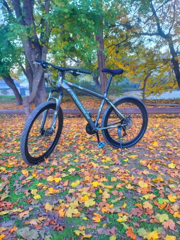 trek velosiped baku: İşlənmiş Şəhər velosipedi Anmier, 29", sürətlərin sayı: 11, Ünvandan götürmə