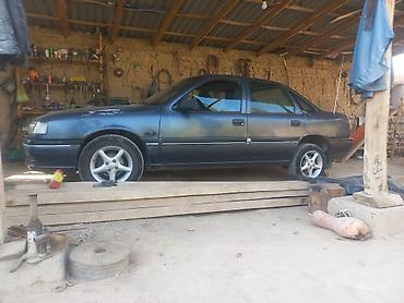 Opel: Opel Vectra: 1995 г., 1.6 л, Механика, Бензин, Седан — 7