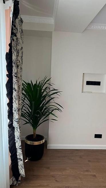 artwin: 1 комната, 45 м², АЮ Гранд Элитка, 8 этаж, Евроремонт — 8