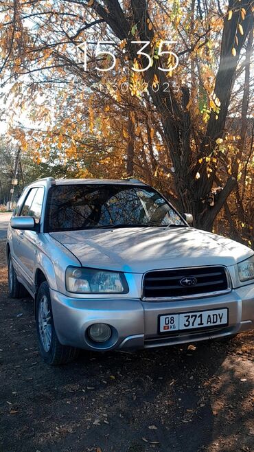 продаю субару форестер: Subaru Forester: 2003 г., Кроссовер